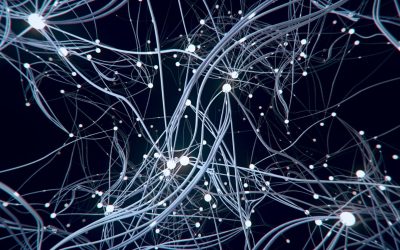 Comment l’IA va-t-elle transformer l’éducation de demain ? Spoiler : ce n’est pas ce que vous pensez