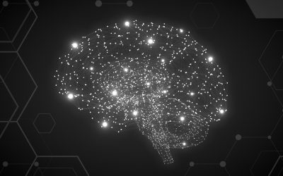 Quand les Intelligences Artificielles Vont à l&rsquo;École Primaire